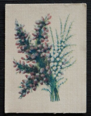 WHITE HEATHER Sprache der Blumen ausgegeben 1914 Meine Woche SEIDE