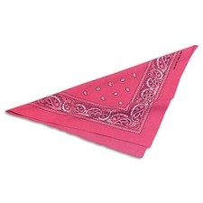 Cowgirl Pink Bandana Costume Accessory