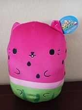 NEW CATS VS PICKLES Water-Meow-Lon 028 JUMBO SZ 8-9" Watermelon pink green