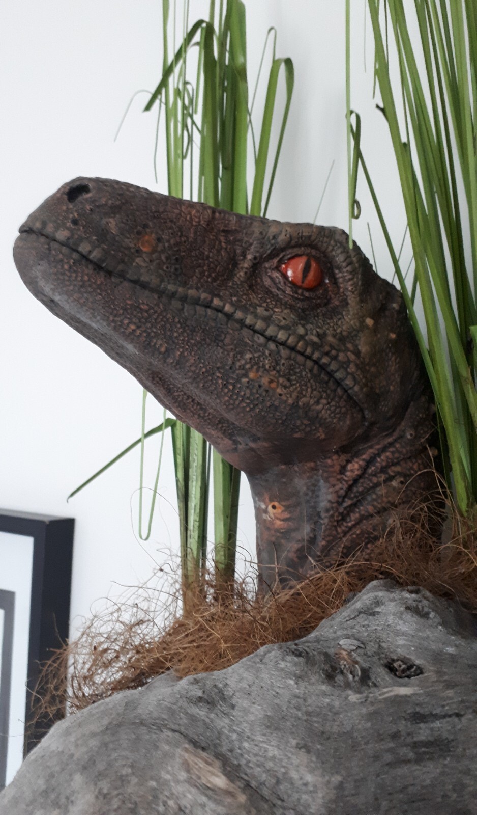 raptor bust jurassic park raptor prop.