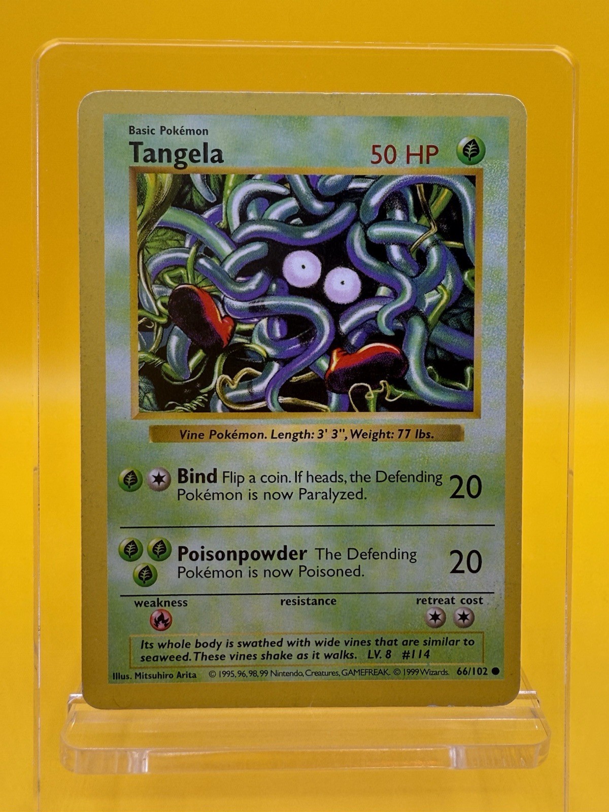 Tangela 66/102 Common Shadowless Edition 1999 Pokemon Card MP
