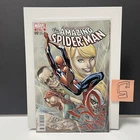 Amazing Spider-Man #692 La Mole Mexico Variant J. Scott Campbell Stan Lee NM