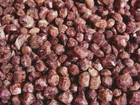 Garnet crystals red natural mine rough 1/4-1/2 inch 20-35 piece 1/8 pound lot