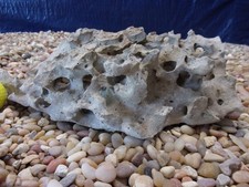 08 Texas/TN Holey Rock 04"x11"x07" Aquarium Reptile Honeycomb Limestone