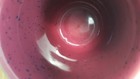 Bild 10 von 21