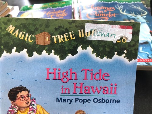 Magic Tree House 1-30 lot by Mary Pope Osborne Chapter books book set Adventure - Imagen 11 de 11