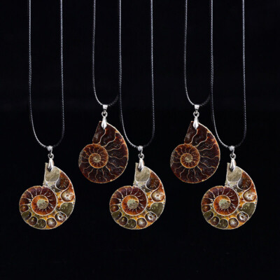 5Pcs Natural Conch Fossil Quartz Energy Stone crystal Healing Pendant Necklace