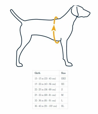 ruffwear cooling vest