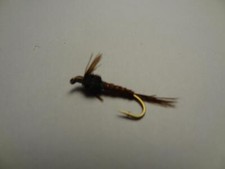 1 DOZ PW-2 FLASHBACK PHEASANT TAIL SELECT YOUR SIZE NYMPH