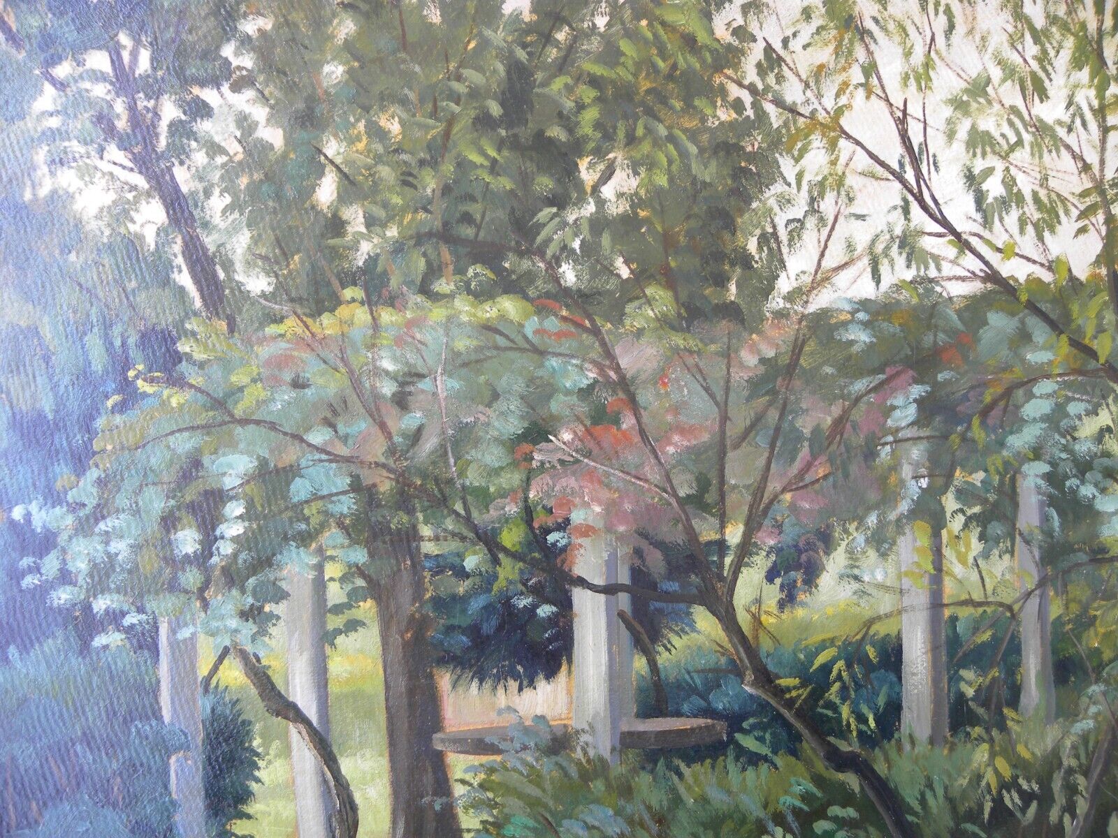 Foto 10 di 17