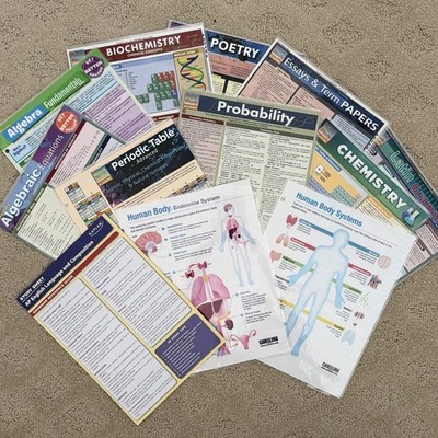 Lot of 9 Laminated Quick Study Academic Guides