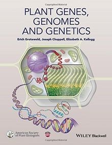 Plant Genes, Genomes and Genetics von Grotewold, Erich, ... | Buch | Zustand gut