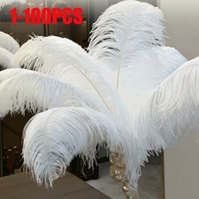 100Pcs/pack Large Ostrich