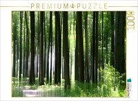 Calvendo Puzzle Buchenwald | 1000 Pieces, Finished Size 25.2 × 18.9 In (64 × 48