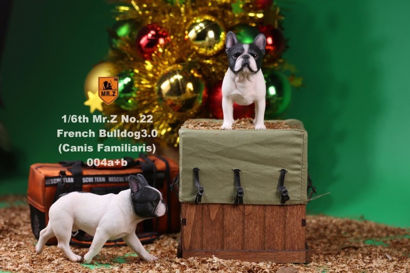 1 6 Mr. Z NO.022 Bulldog francés 3.0 figura Canis familiaris 004a+b Modelo Juguete 1 6 Mr. Z NO.022 Bulldog francés 3.0 figura Canis familiaris 004a+b Modelo Juguete
