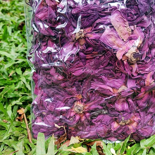 100g Red Lotus Flower (Nymphaea Rubra) 100% Organic Herbal Pure Tea from Ceylon - Picture 3 of 5