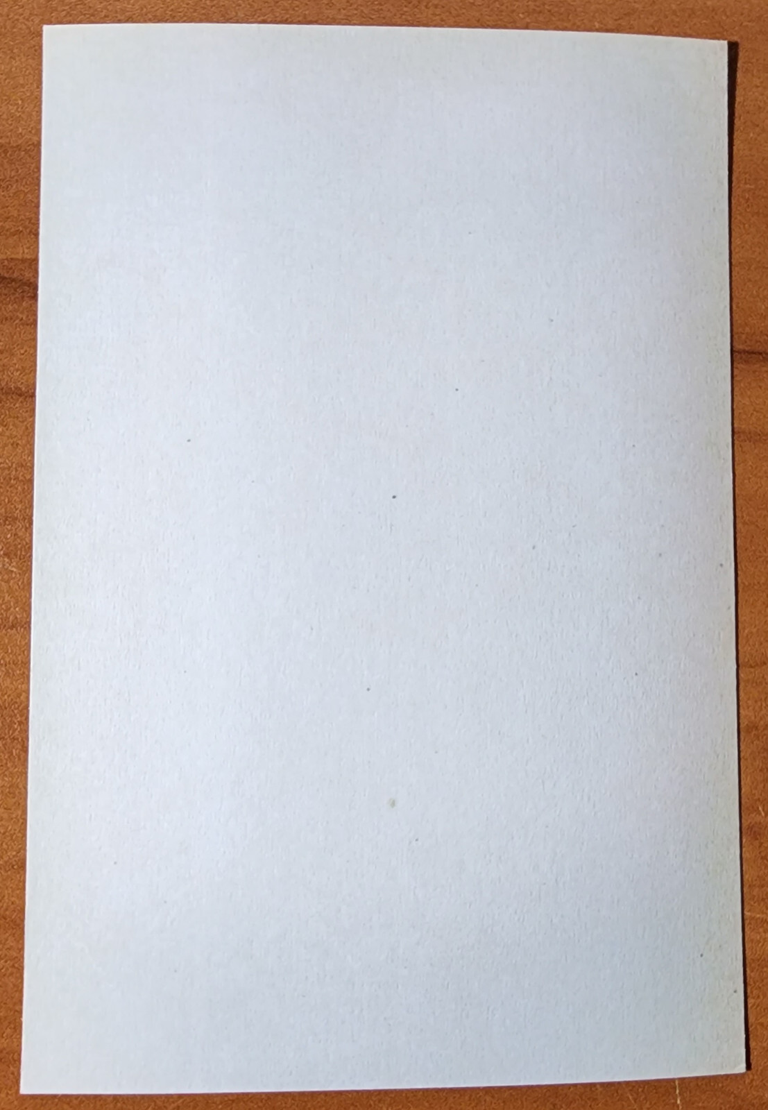 Bernard Kobel Traditional Tattoo Photo B&W Vintage Tattooed Woman Legs Ship