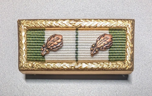 SGAUS Superior Unit Award - 2 Oak Leaf Clusters for Texas State Guard