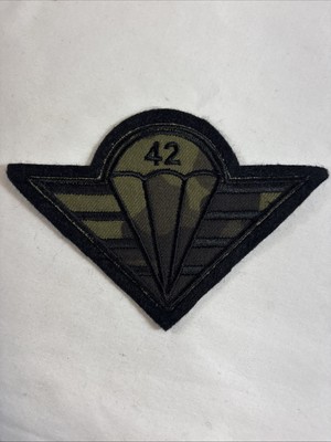 Czech Republic 4th Rapid Deployment BDE, 42nd Mech (Inf) BN Parachutist Patch