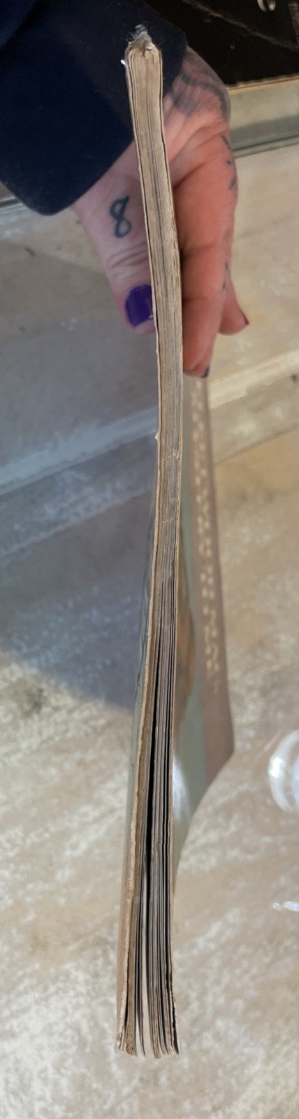 Picture 6 of 8