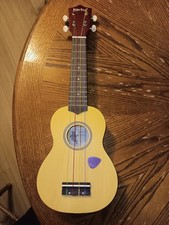 Everjoys Beginners Ukulele