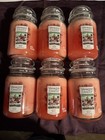 1- NEW Yankee Candle Garden Picnic Classic 22oz Jar