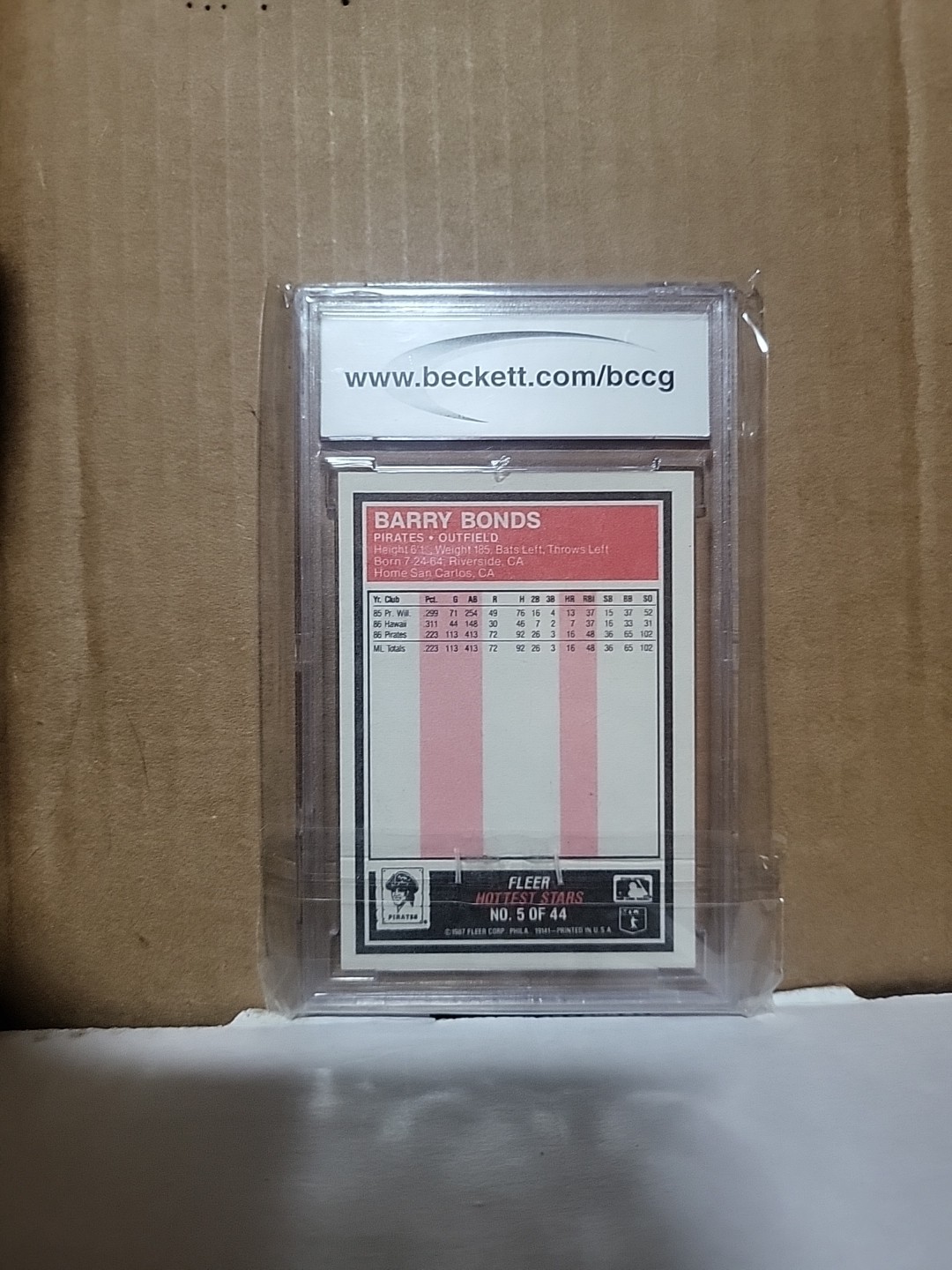 Picture 2 of 2