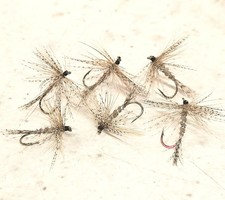  JINGLER MARCH BROWN SPIDER taglia 14 mosche trota SENZA BARBA X 6