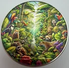 Rainforest Animals Nature American Silver Eagle 1oz .999 Silver Dollar Coin Gift