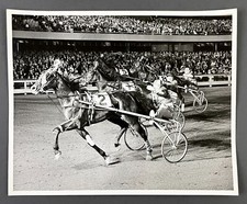1960s Yonkers NY Raceway Harness Horse Race Sulky Cart Jockey VTG Press Photo 