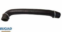 Ladeluftschlauch Bugiad 82387 Passend FüR Iveco