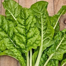 Fordhook Giant Swiss Chard, 50 Seeds. Heirloom NON-GMO Organic. Free Shipping