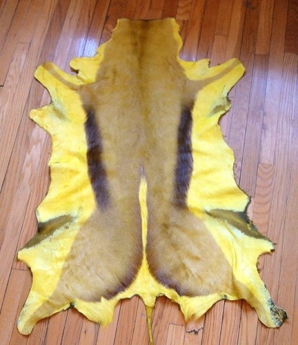 Dyed African Deer Skin Assorted dyed colors African springbok antelope hides - Picture 33 of 41