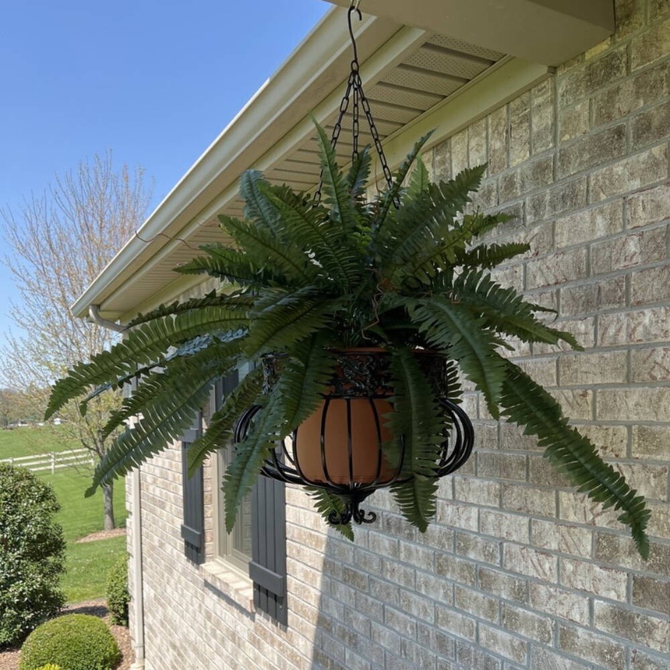 2-Pack Boston Fern Plant - 34" Wide, 42 Realistic Silk Fronds, UV