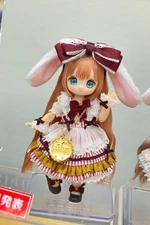 Azone International Sugarcups Cookie Star Sprinkle Anniversary