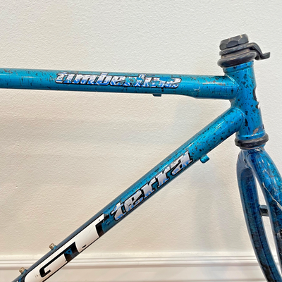 Vintage Blue Splatter GT Timberline Groove Tube Mountain Bike