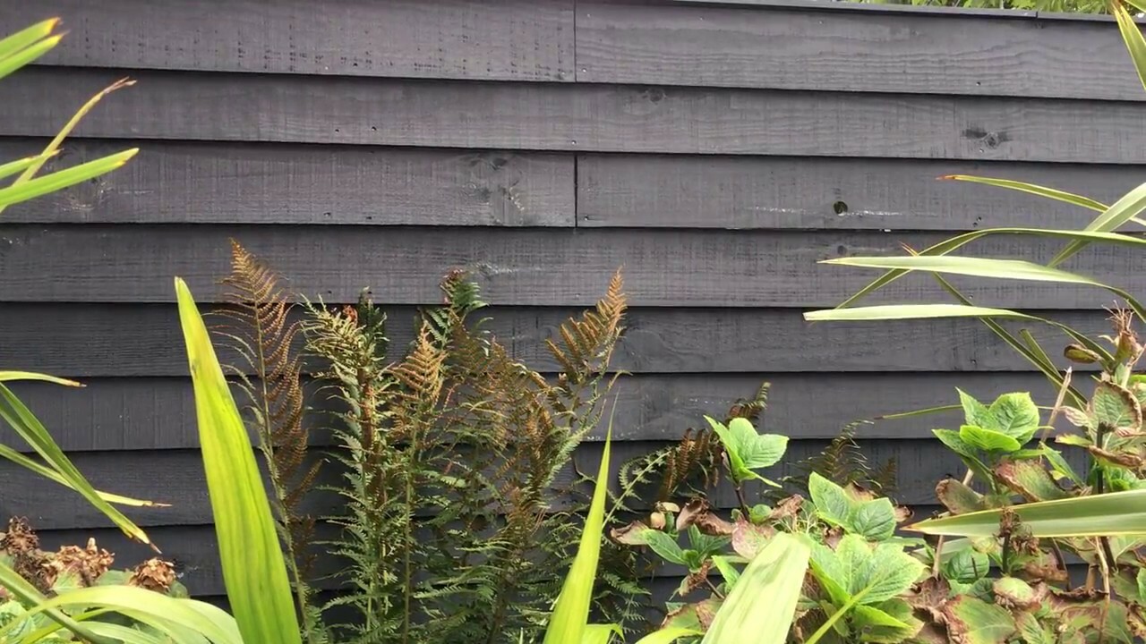 Cuprinol Ducksback Silver Copse 5L garden wood protection for 5 years