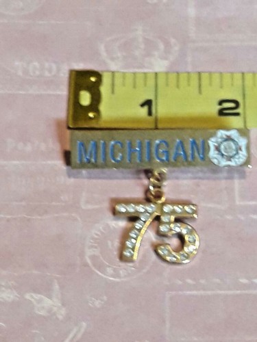 Alésoir De Rayure (.45 Cal) Pioneer Michigan Broach - Modèle DQ-00600-T2 - Neuf (Peut Présenter De Légers Défauts)