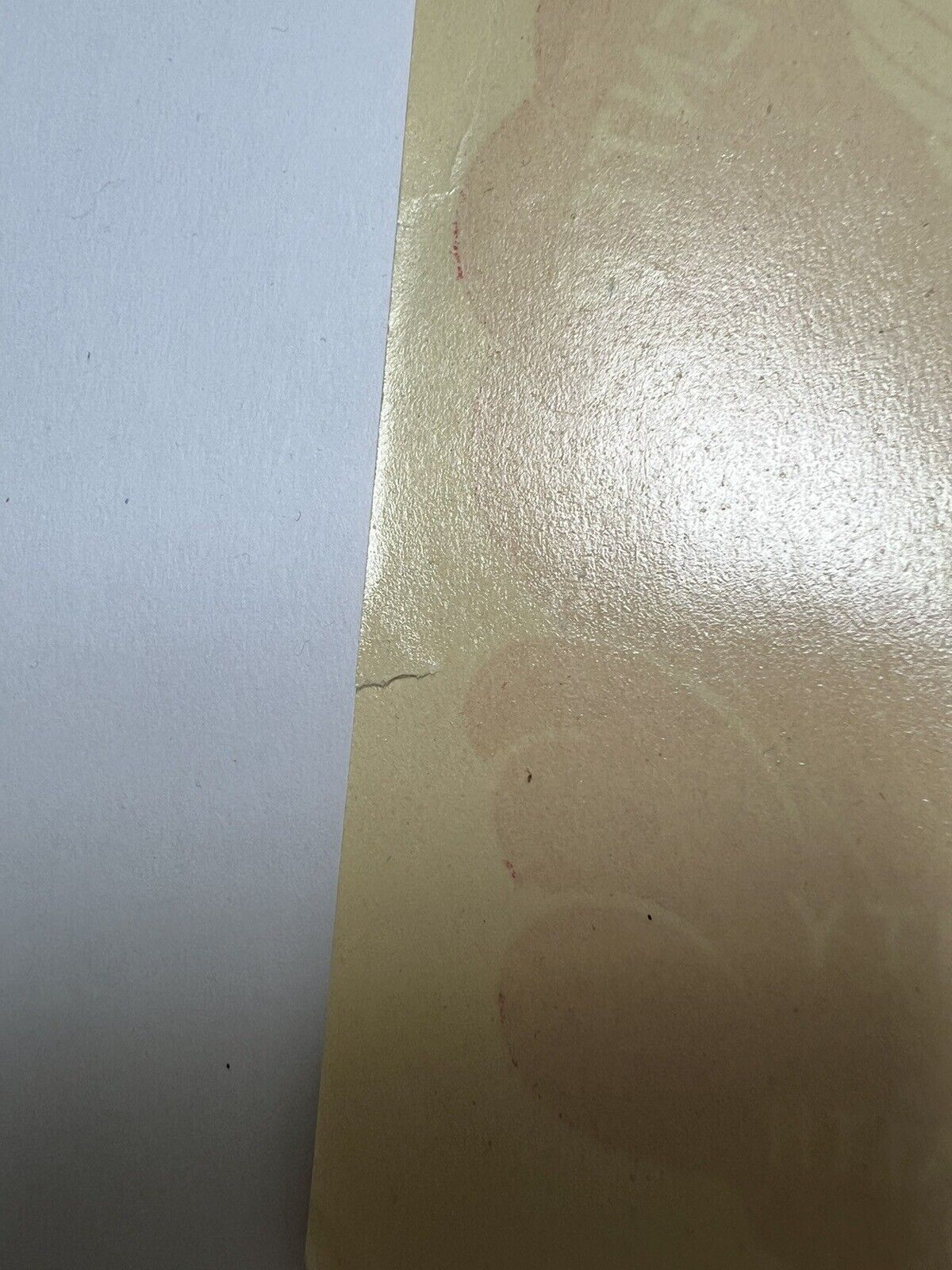 Foto 4 di 5