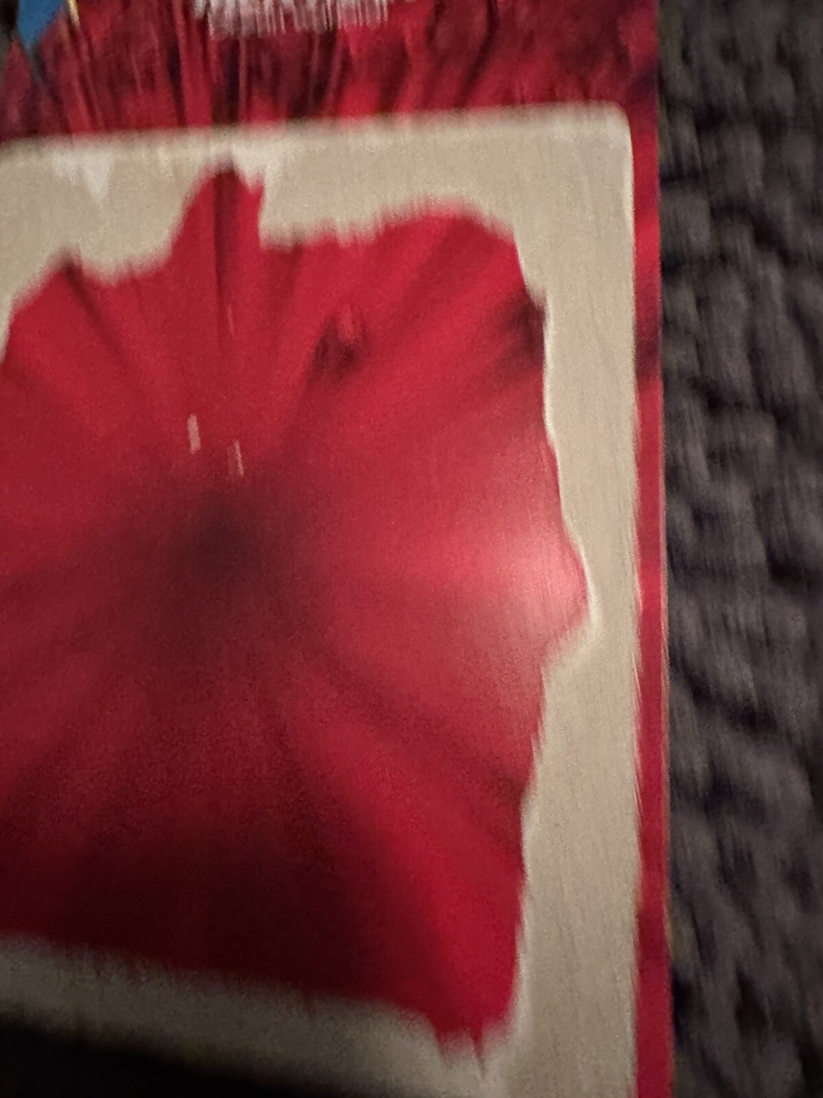 Picture 13 of 22