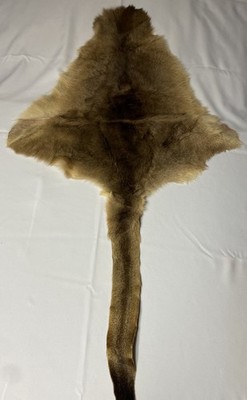 Genuine Australian Tanned Kangaroo Animal Skin, 56  x 30 Leather Hide Rug 