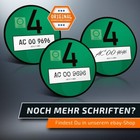 Bild 8 von 8