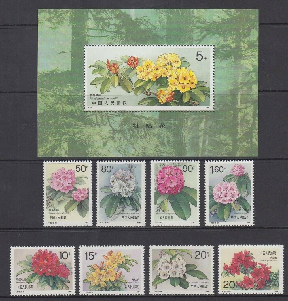 CHINA 1991 RHODODENDRONS SET (x6) & M/S MINT (ID:771/D55726) | eBay