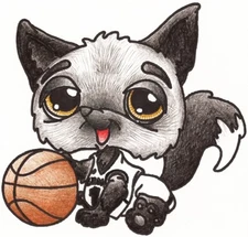 NBA Brooklyn Nets infant bodysuit/ toddler t-shirt/ bib & hat set