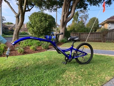 giant half wheeler bike