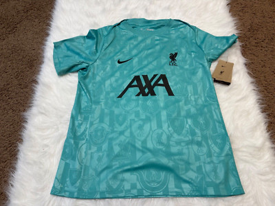 Nike Liverpool F.C. Academy Pre-Match Green Size Large Soccer Jersey FN9653-303