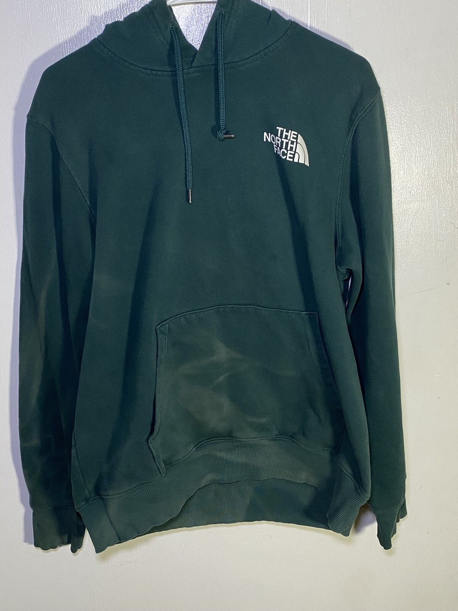 The North Face Hoodie Mens Medium M Blue Green Plaid Pullover