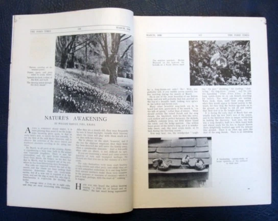 FORD TIMES Car Magazine Vol 13 No 3 March 1936 - Image 2 of 3