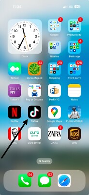 iPhone 16 Pro Max With TikTok 