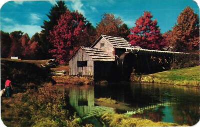 Man & Dog, Marby Mill On Blue Ridge Parkway, Blacksmith Shop, Virginia Postcard